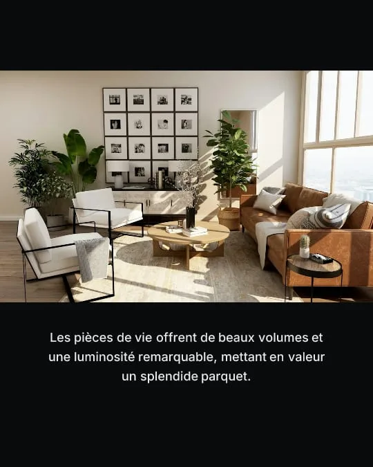 Carrousel immobilier style Cinéma, slide de texte rédigée à partir de l'annonce